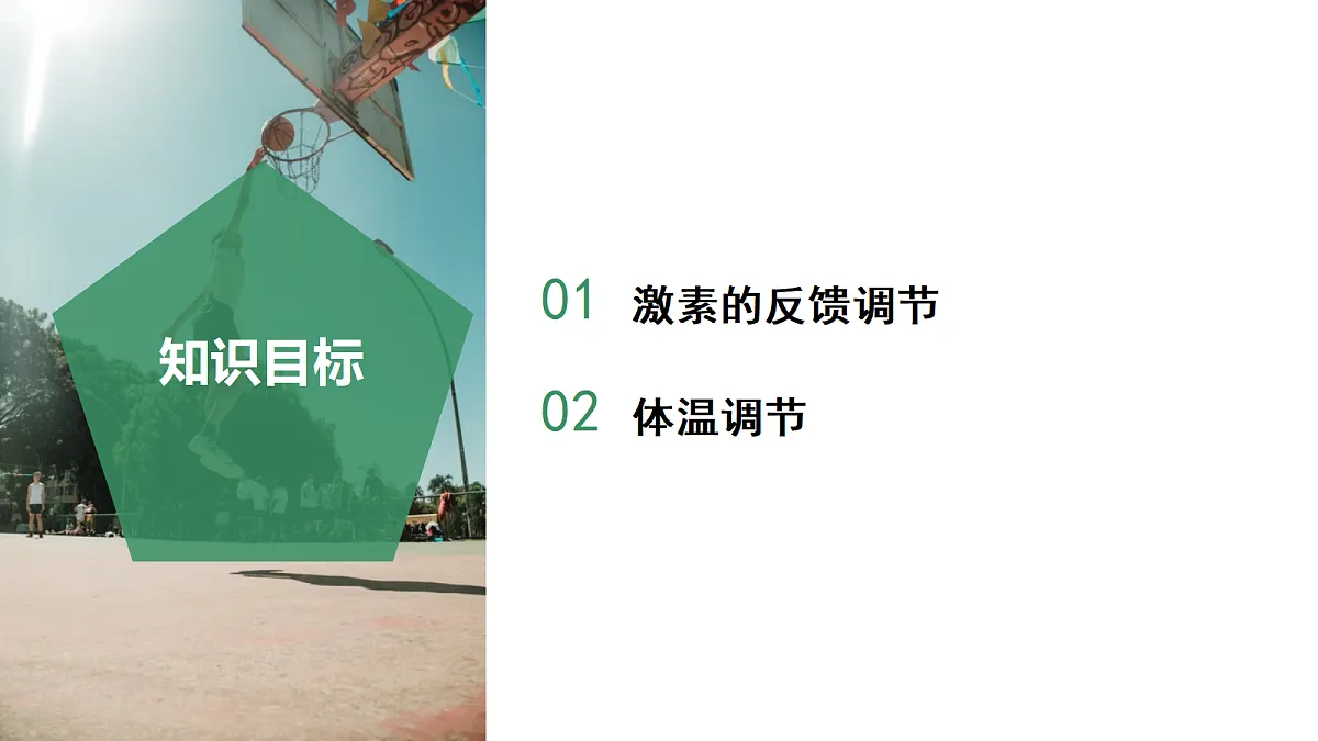 18672989第2页