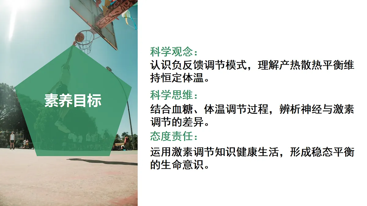 18672989第3页