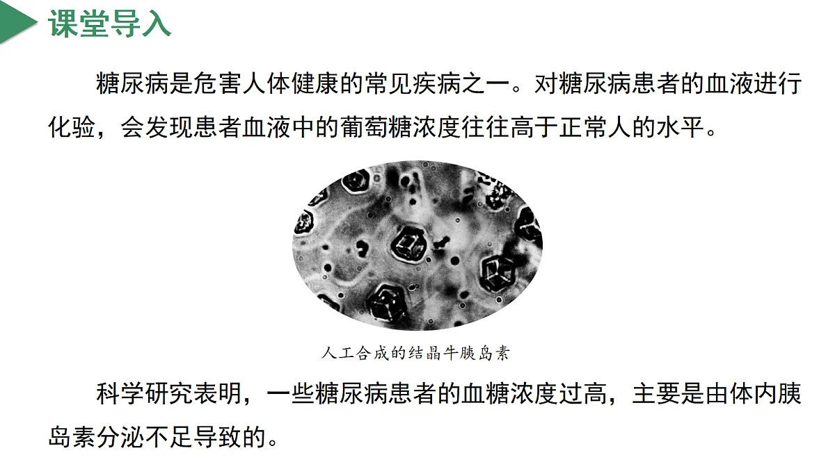18672989第4页