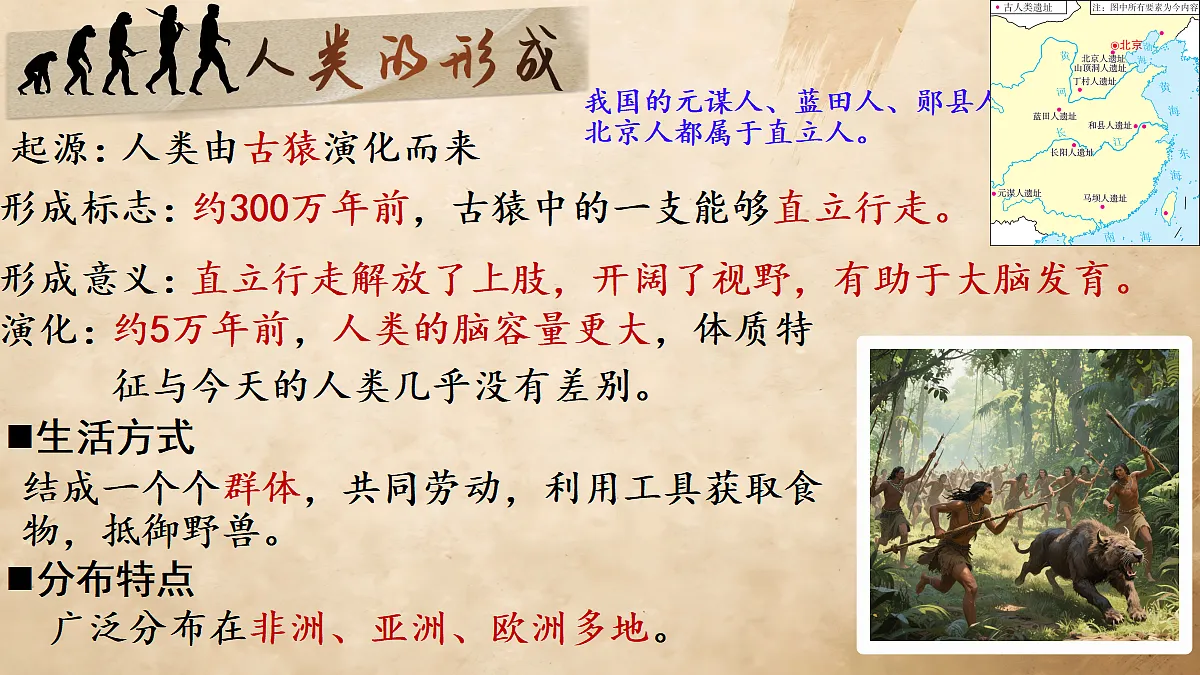 18673205第7页