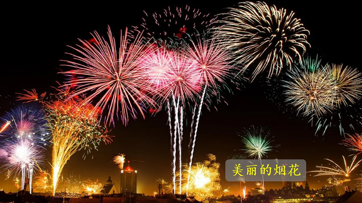 【教学课件】口语交际:意见不同怎么办第8页