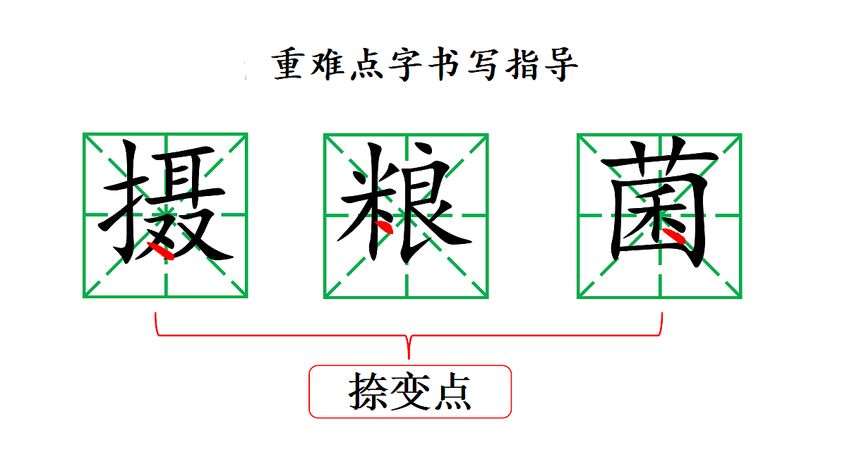 18677416第7页