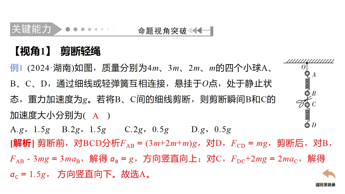 18678465第5页