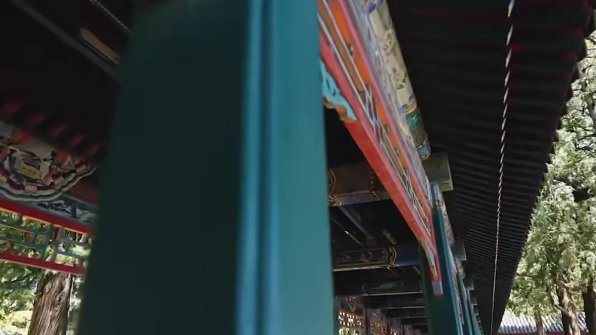 18678545第2页
