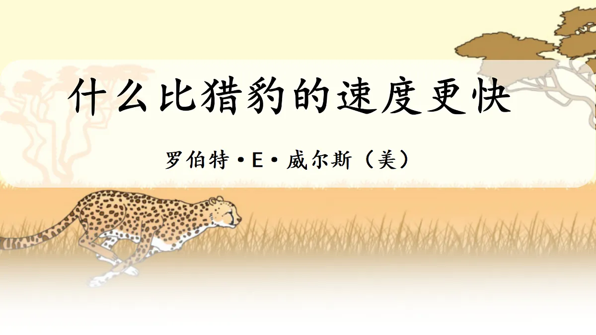 18678593第1页