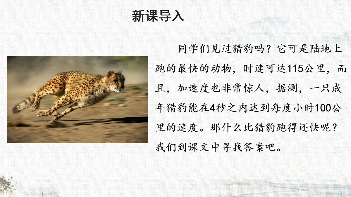 18678593第2页