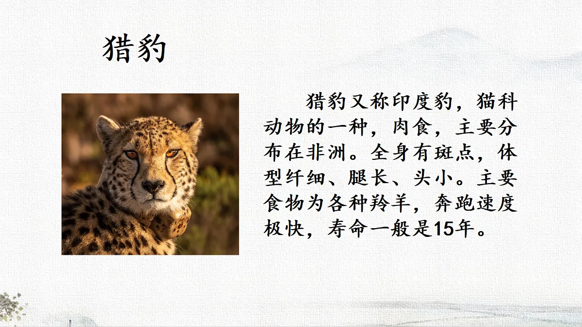 18678593第3页