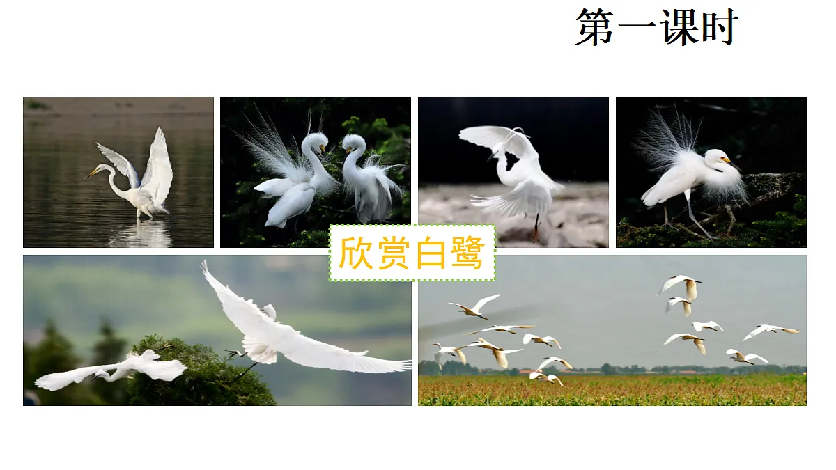 18681751第2页