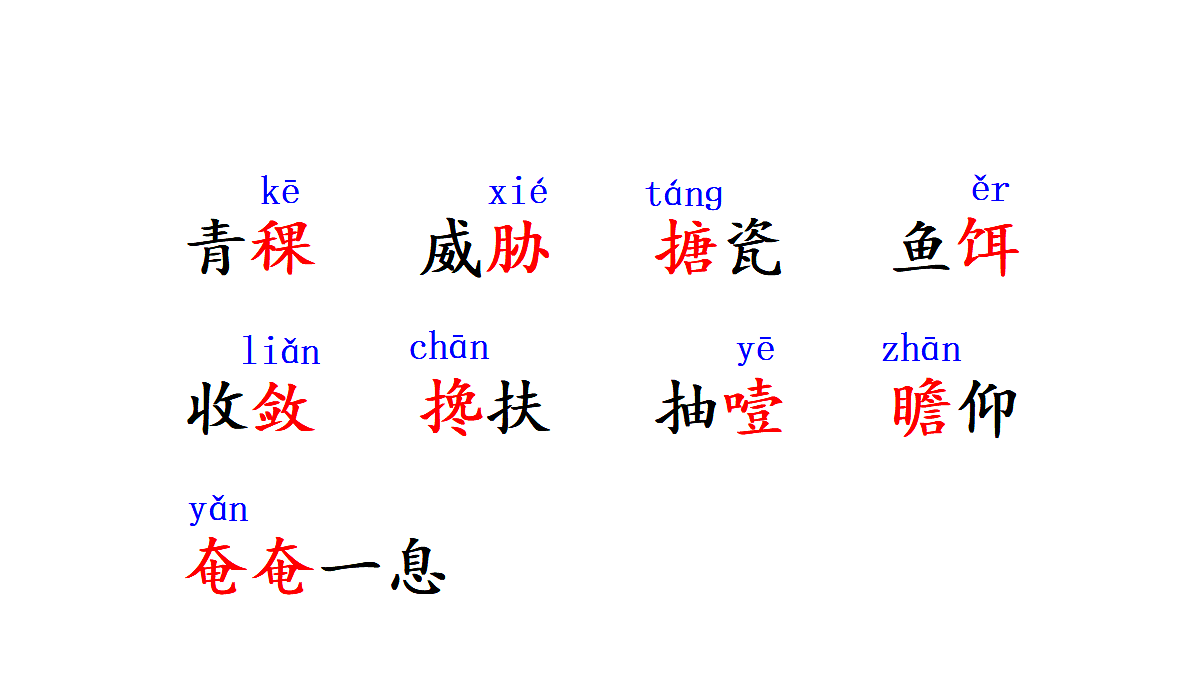 18682087第5页