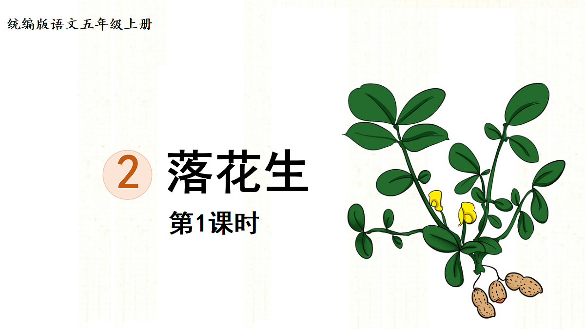 【教学课件】2.落花生第1课时第1页