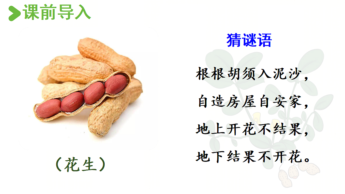 【教学课件】2.落花生第1课时第2页