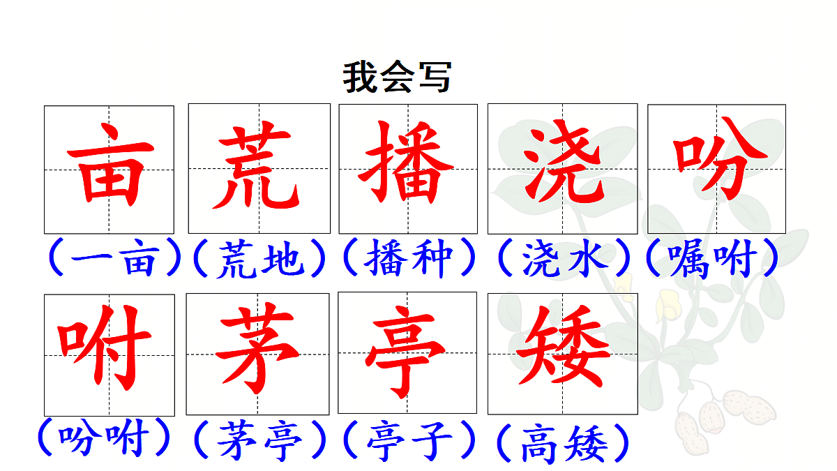 【教学课件】2.落花生第1课时第8页