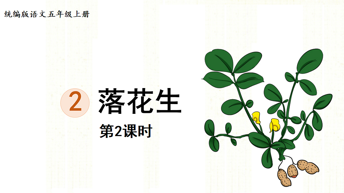 【教学课件】2.落花生第2课时第1页