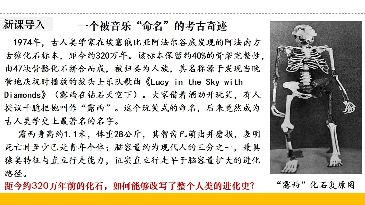 18682658第2页