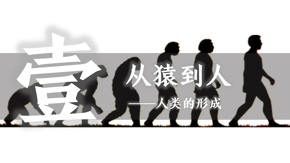 18682658第3页