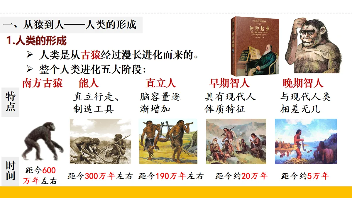 18682658第4页