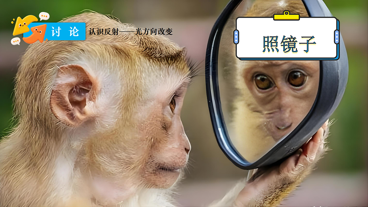 18683094第6页