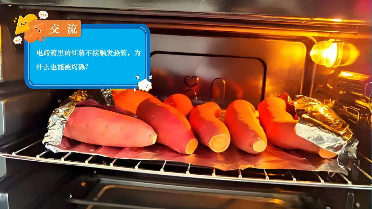 18683099第3页