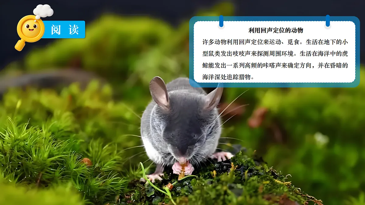 18683111第7页