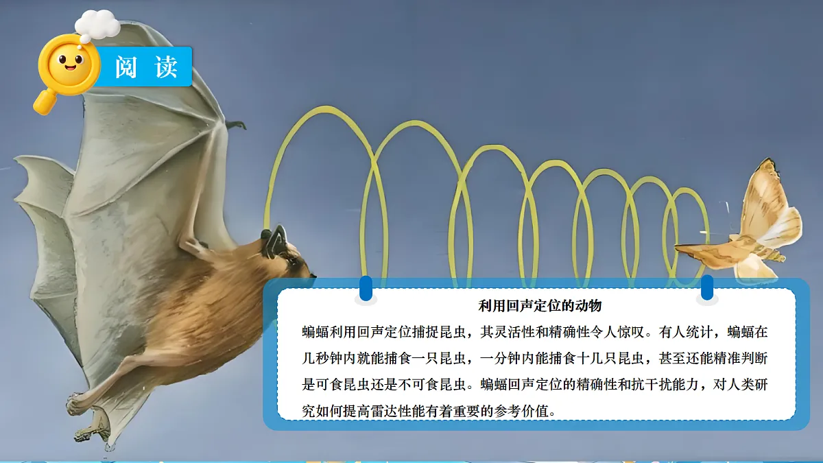 18683111第8页