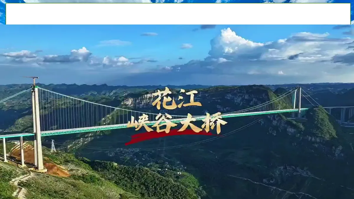 18683315第3页