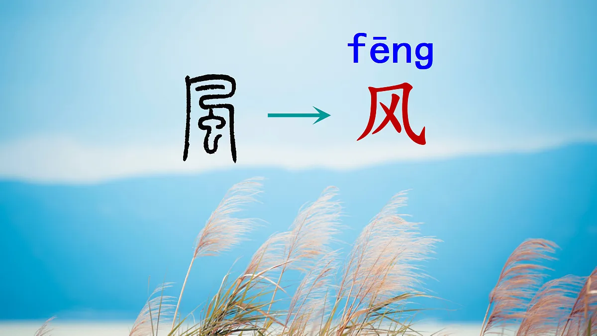 18685190第7页