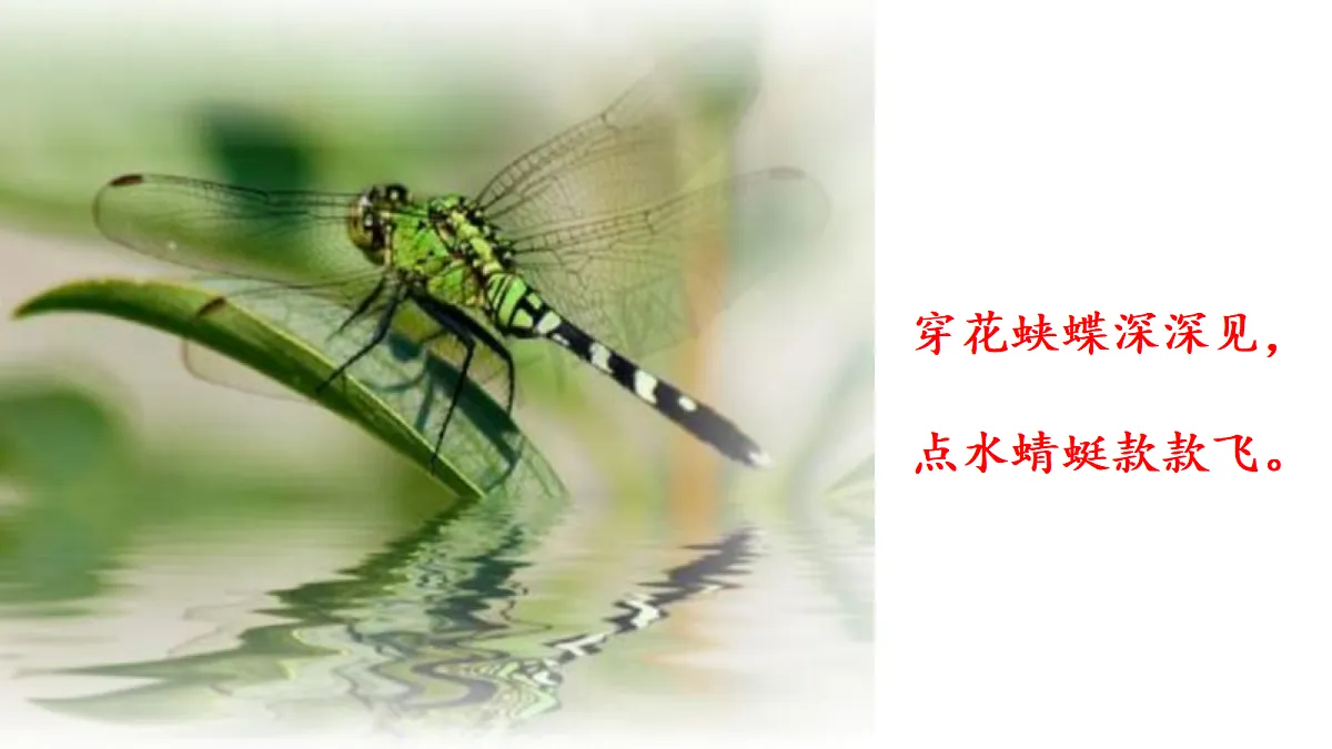 18686041第1页