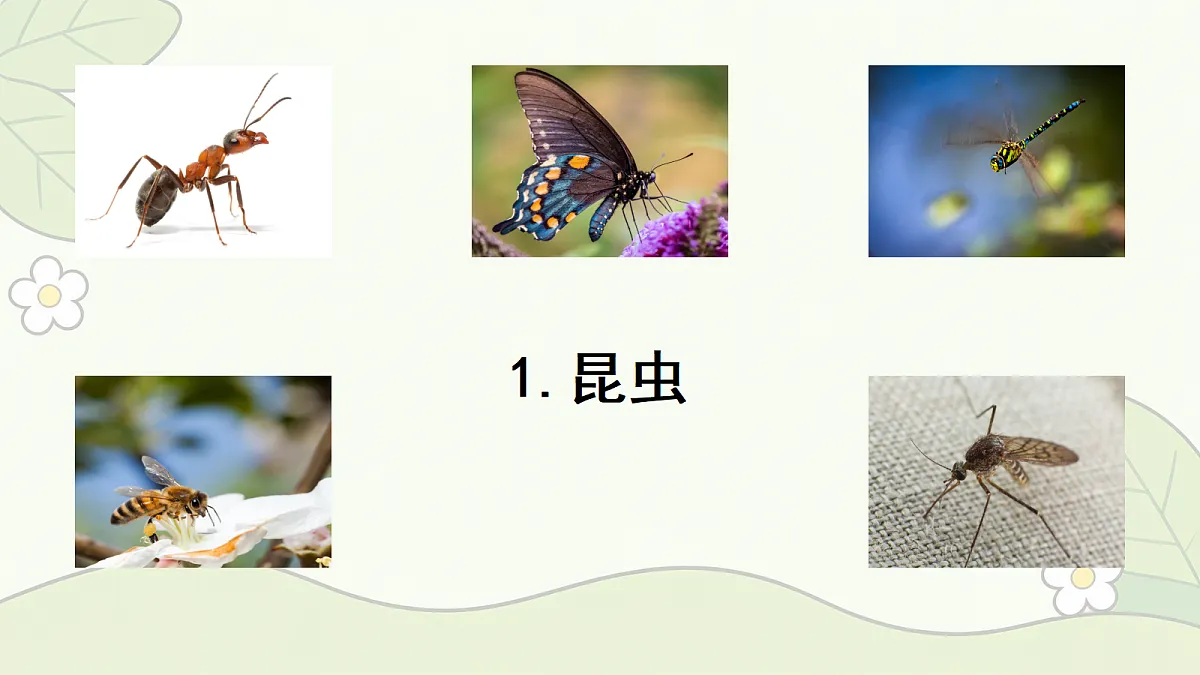 18686041第2页