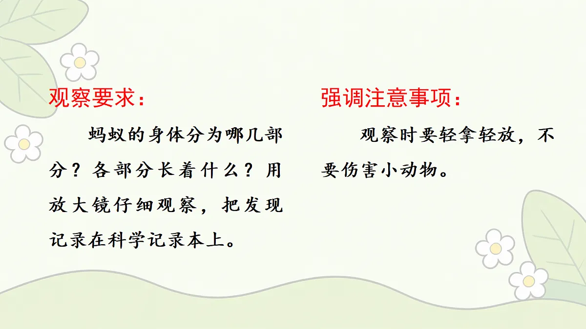 18686041第4页