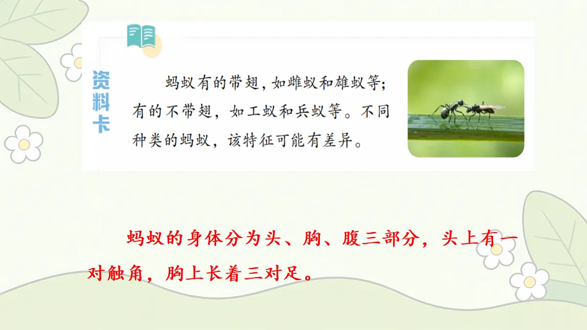 18686041第5页