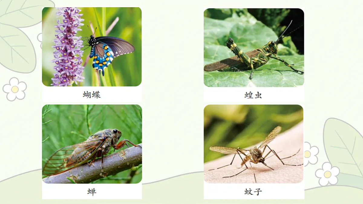 18686041第6页