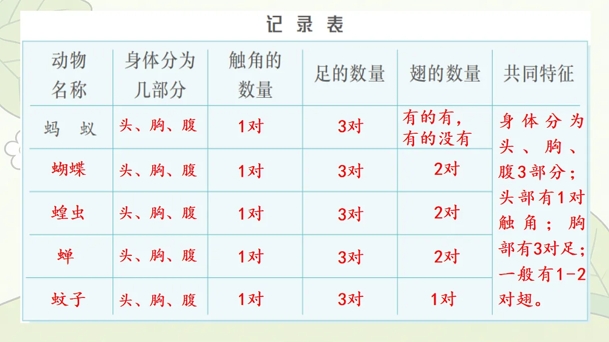 18686041第8页