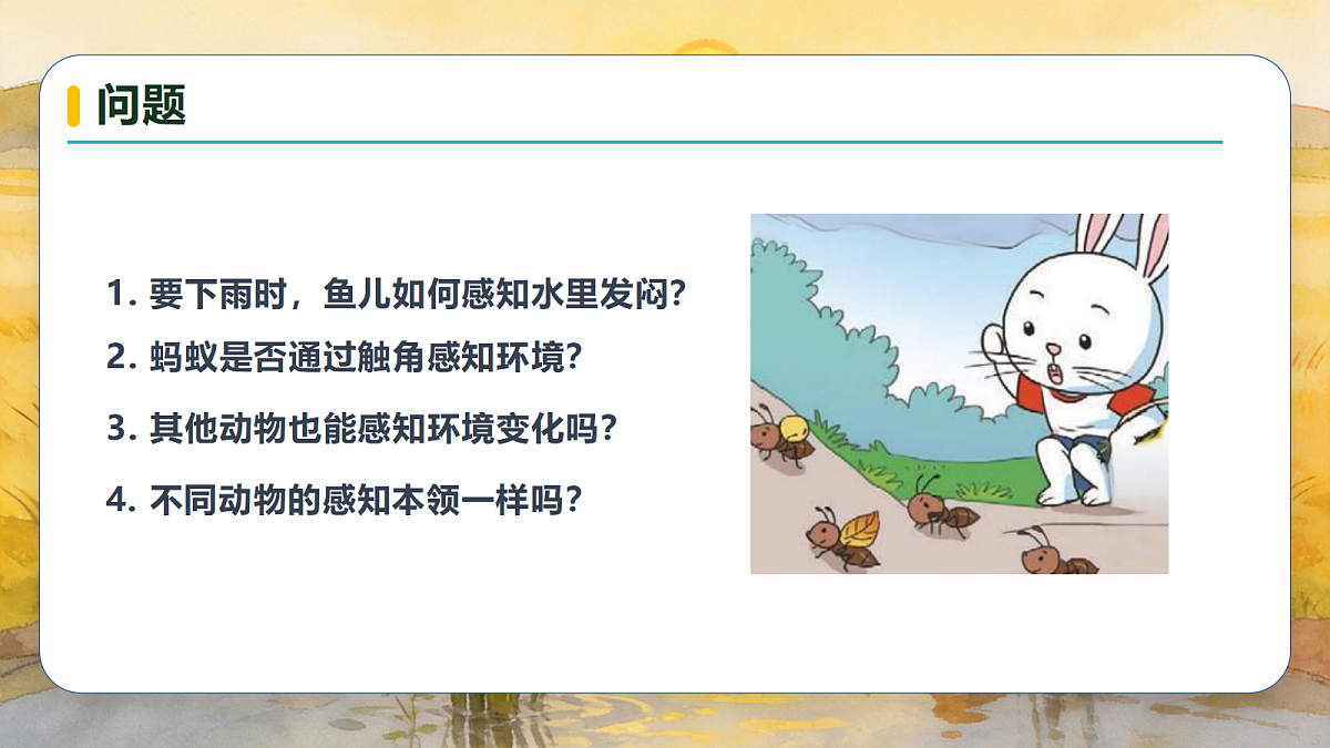 18686124第7页