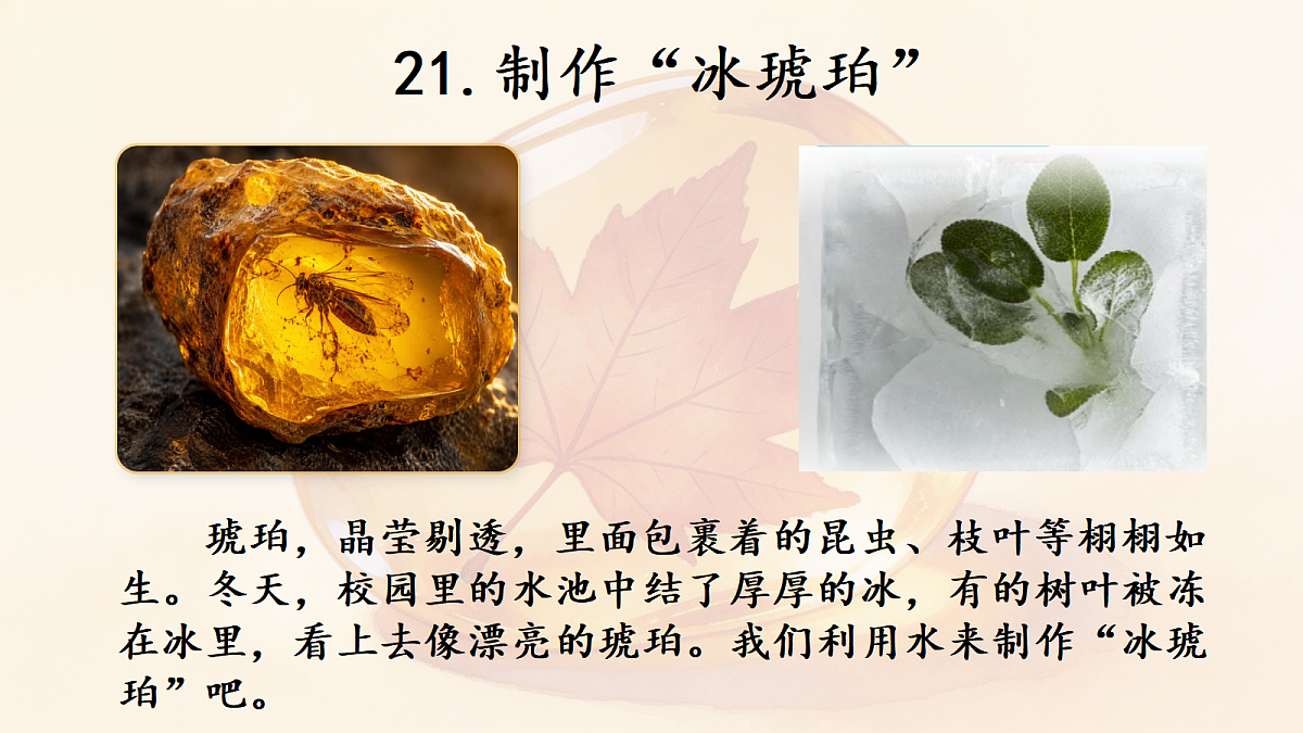 18686278第1页