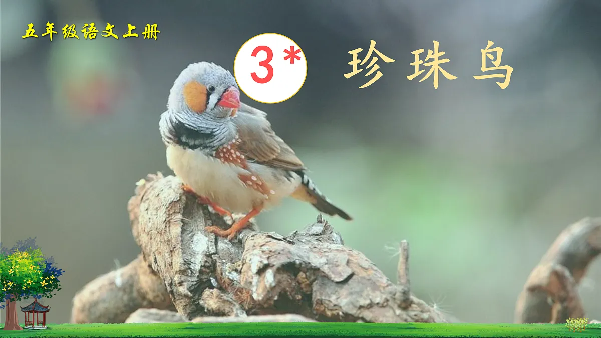 18686836第1页