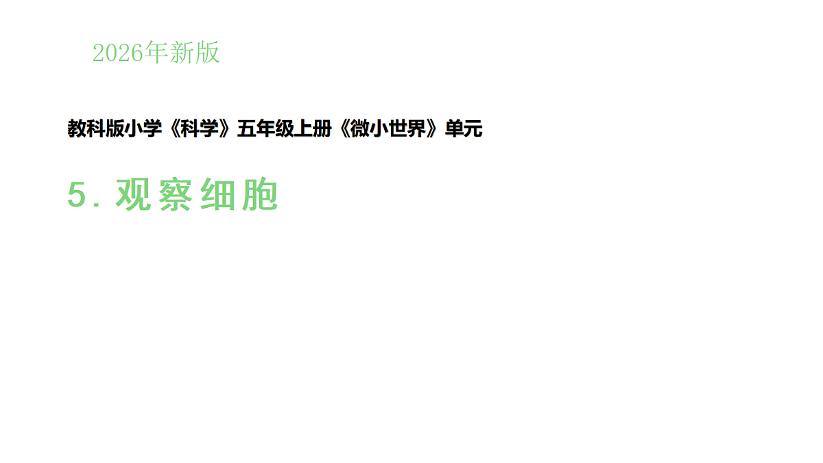 1.5《观察细胞》(课件)-2026-2027学年科学五年级上册教科版第1页