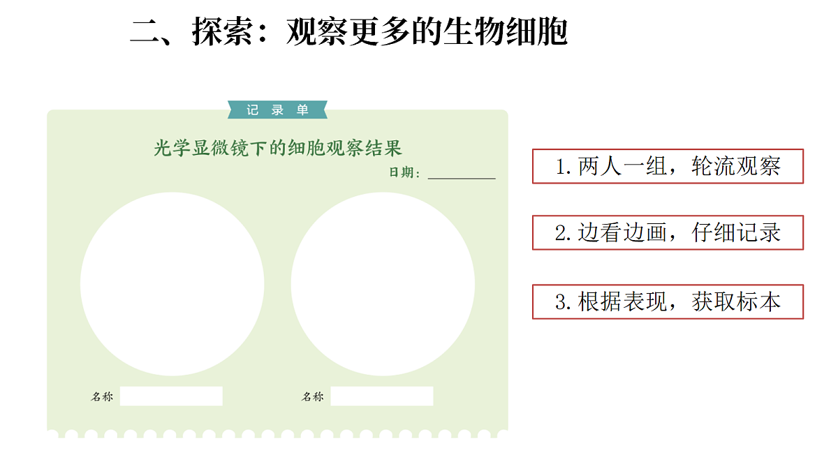 1.5《观察细胞》(课件)-2026-2027学年科学五年级上册教科版第6页