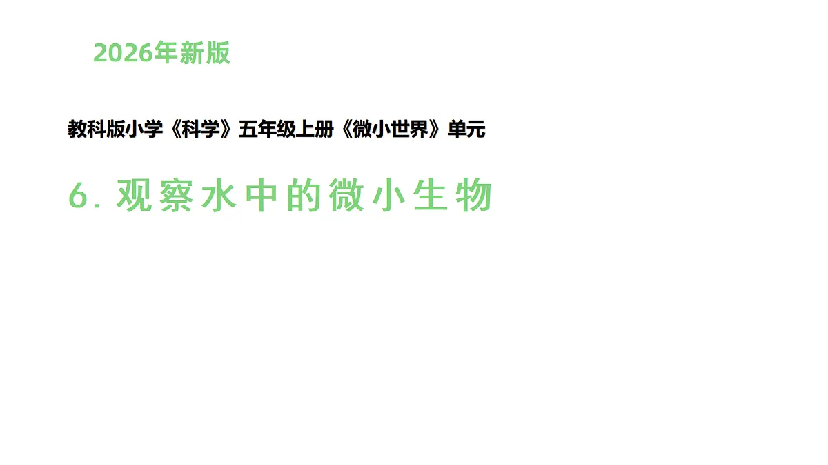 1.6《观察水中的微小生物》(课件)-2026-2027学年科学五年级上册教科版第1页