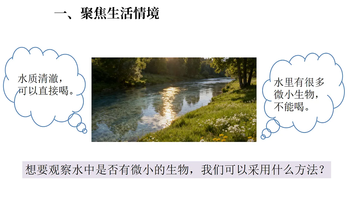 1.6《观察水中的微小生物》(课件)-2026-2027学年科学五年级上册教科版第3页