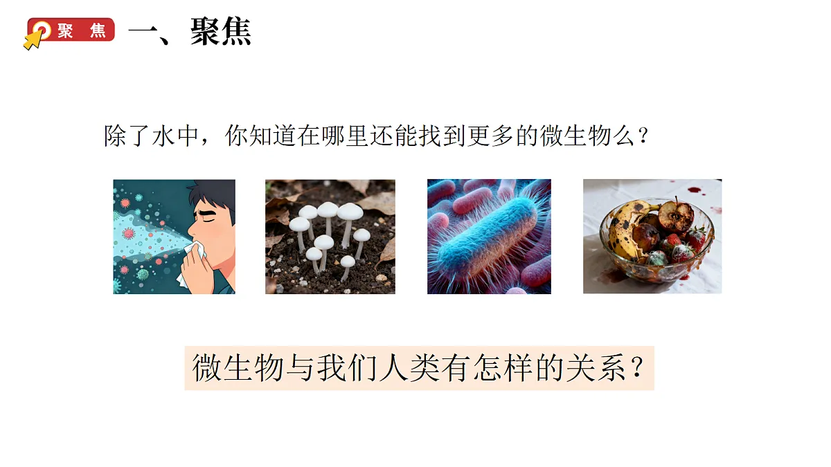 1.7《微生物与人类》(课件)-2026-2027学年科学五年级上册教科版第3页