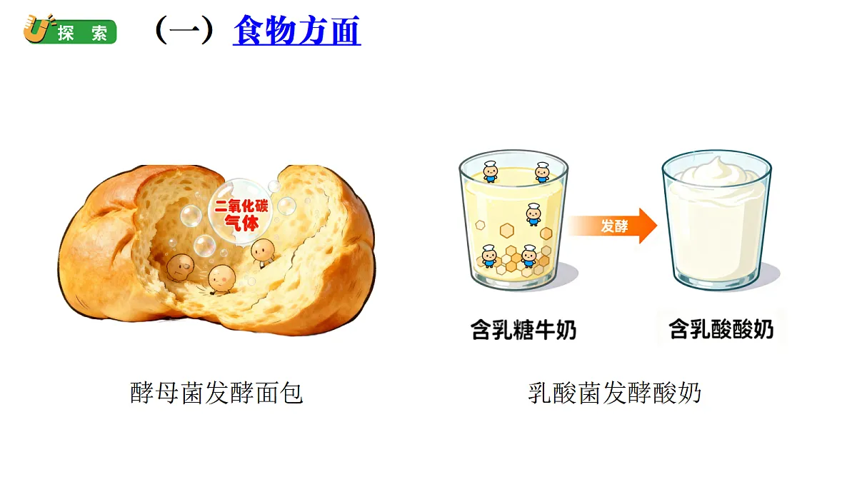 1.7《微生物与人类》(课件)-2026-2027学年科学五年级上册教科版第6页