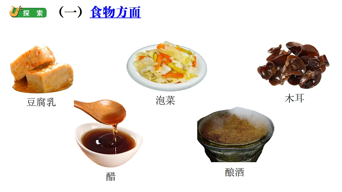 1.7《微生物与人类》(课件)-2026-2027学年科学五年级上册教科版第7页