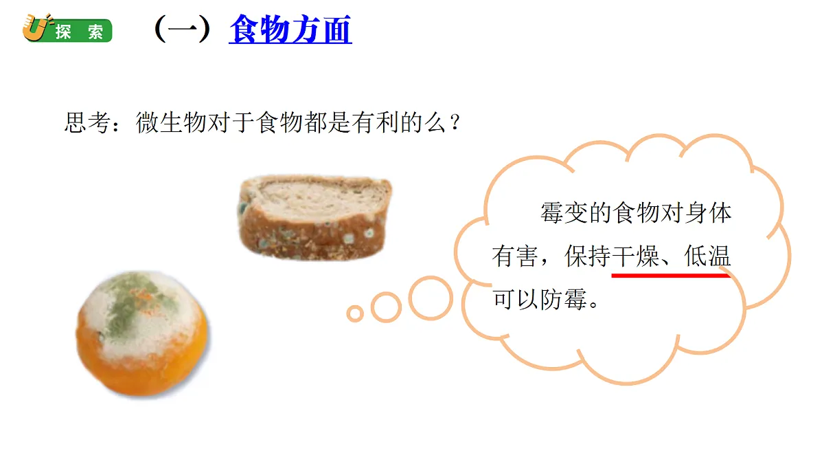1.7《微生物与人类》(课件)-2026-2027学年科学五年级上册教科版第8页