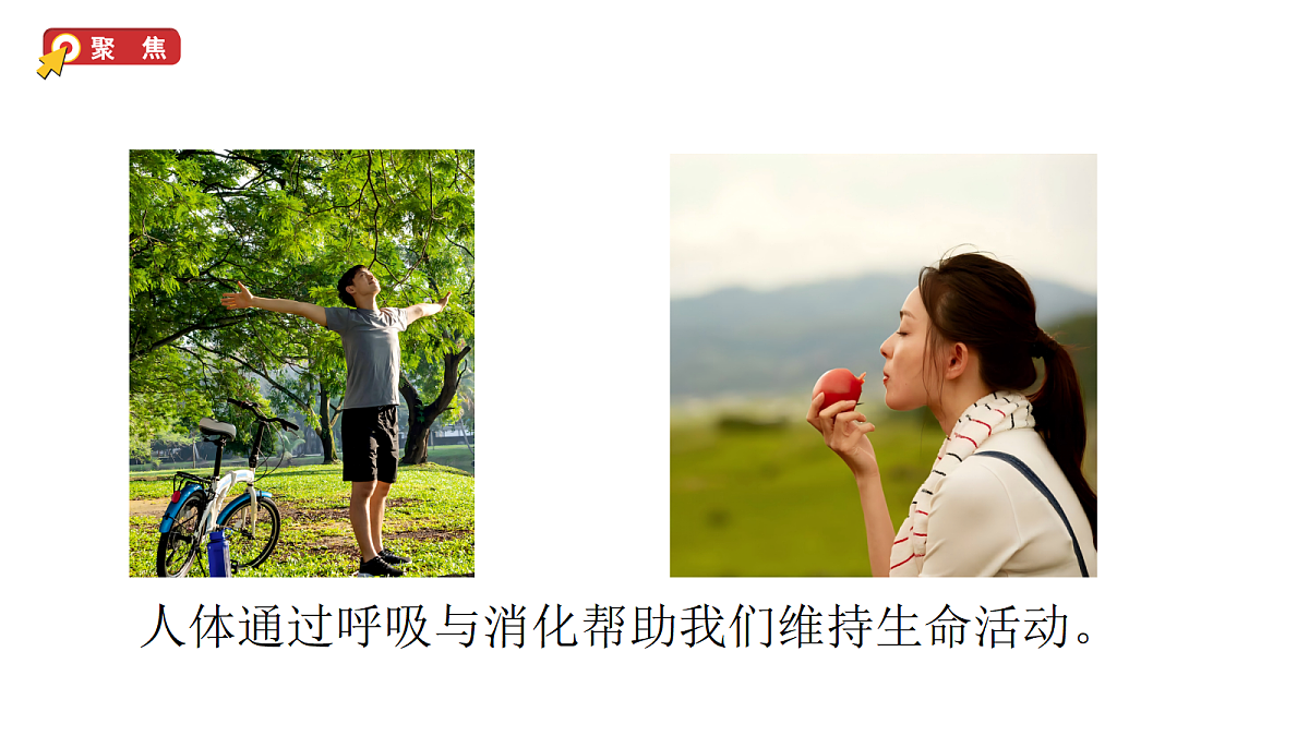 2.1《我们的呼吸和消化》教学课件(课件)-2026-2027学年科学四年级上册教科版第2页