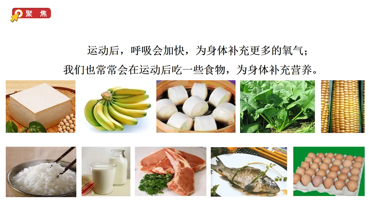 2.5《口腔里的消化》教学课件(课件)-2026-2027学年科学四年级上册教科版第2页