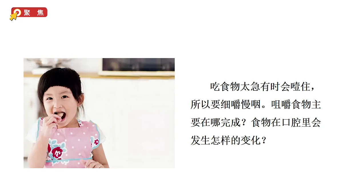 2.5《口腔里的消化》教学课件(课件)-2026-2027学年科学四年级上册教科版第3页