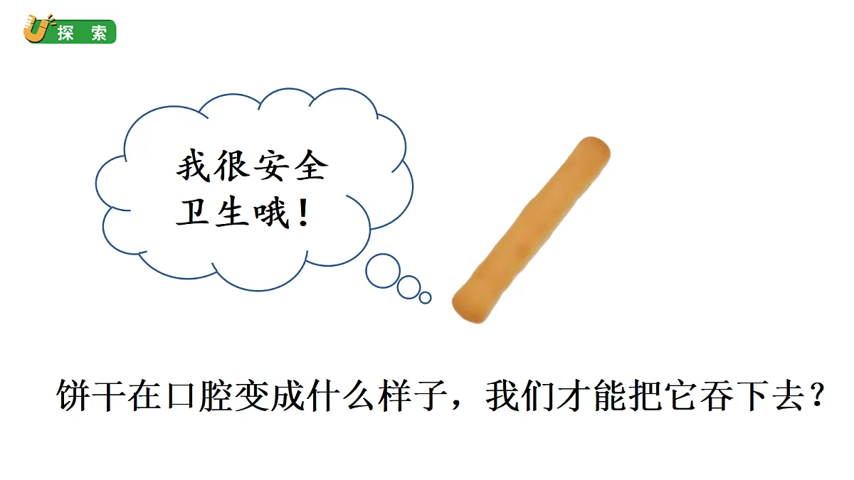 2.5《口腔里的消化》教学课件(课件)-2026-2027学年科学四年级上册教科版第4页