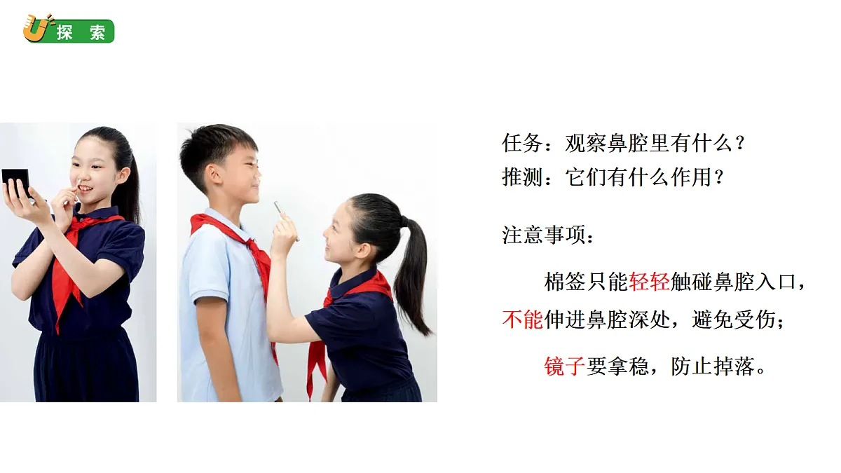 2.8《呵护我们的器官》教学课件(课件)-2026-2027学年科学四年级上册教科版第6页