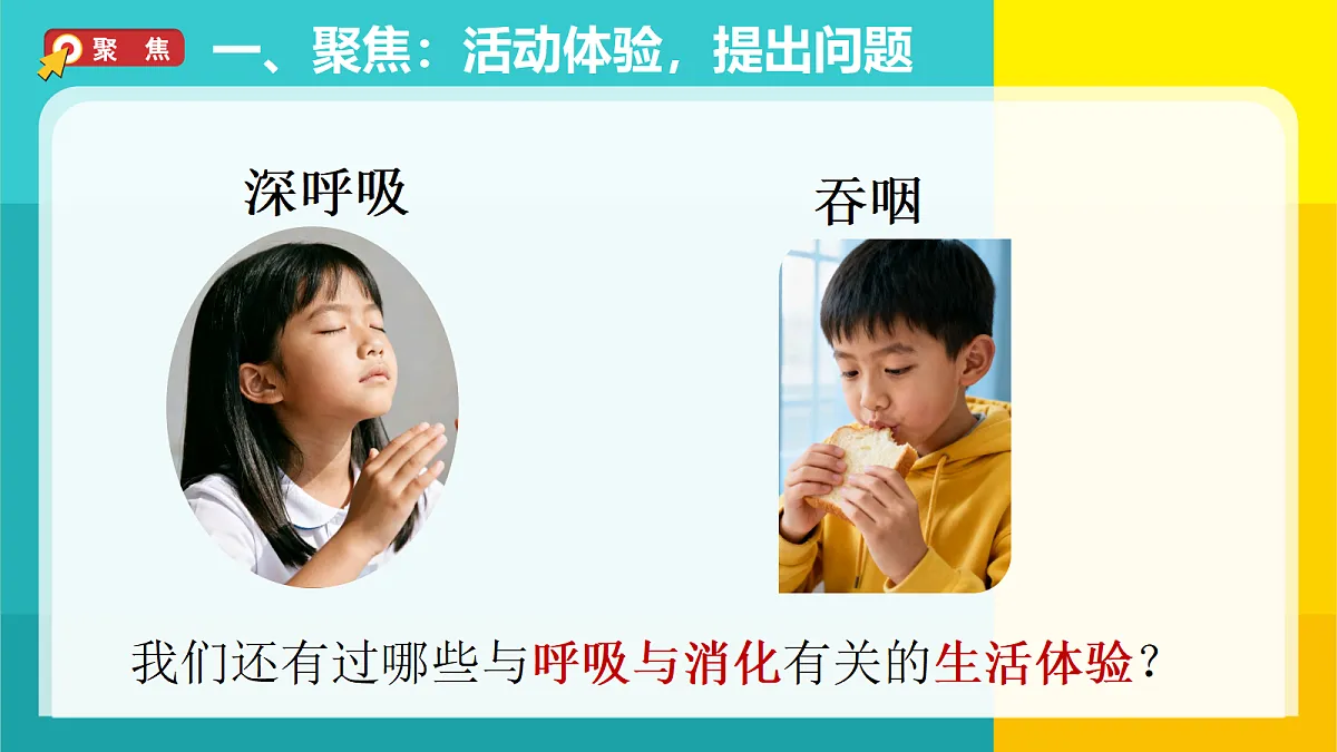 18688293第3页
