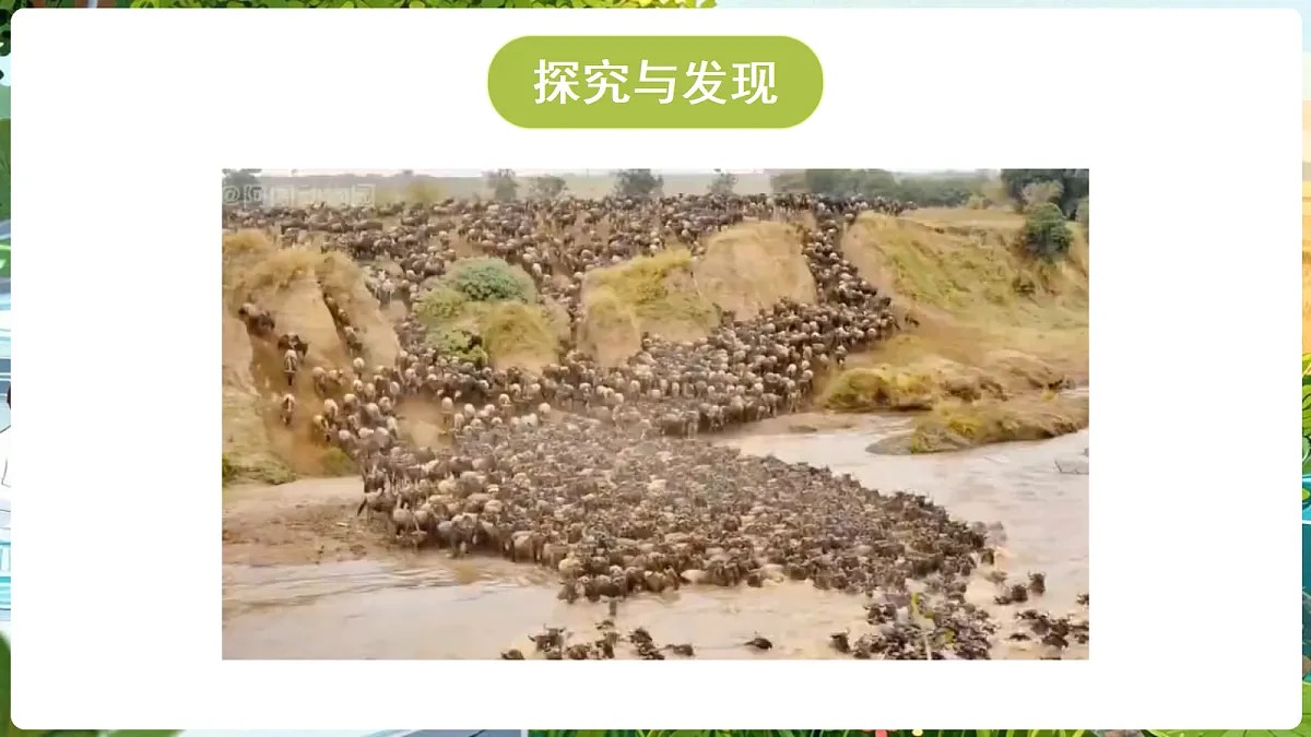 18689388第4页